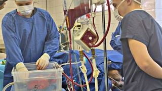 Новосибирские кардиохирурги / Фото: nauka.nso.ru