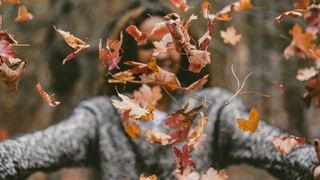 Осень / Фото: unsplash.com/Jakob Owens