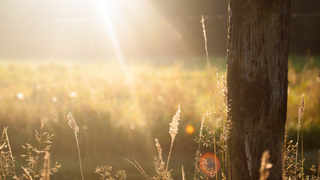 Солнце / Фото: pxhere.com/ru/photo/88