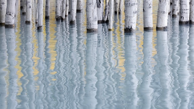 Главный победитель Natural Landscape Photography Awards / Фото: naturallandscapeawards.com