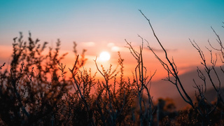 Осенний рассвет / Фото: unsplash.com