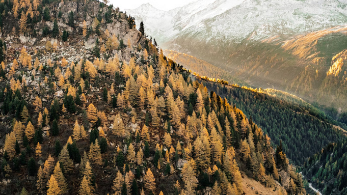 Осенние горы / Фото: unsplash.com