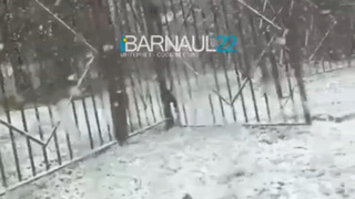 Снегопад в Ельцовском районе / Кадр из видео 