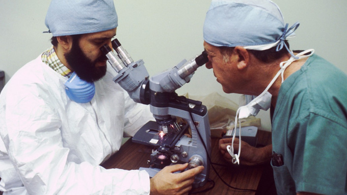 Ученые / Фото: pxhere.com/ru/photo/1412604