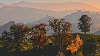 Рассвет / Фото: unsplash.com      