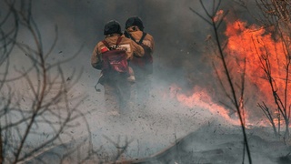 Пожарные / Источник фото: unsplash.com