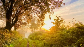 Осень / Источник фото: unsplash.com