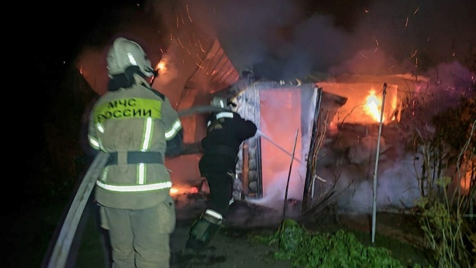 Пожар в селе Лебяжье / Фото: МЧС Алтайского края