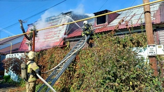 Пожар в селе Лебяжье / Фото: МЧС Алтайского края