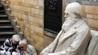 Статуя Чарльза Дарвина / Фото: pxhere.com