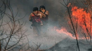 Пожарные / Источник фото: unsplash.com