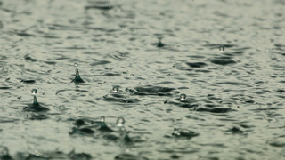 Дождь / Фото: pxhere.com/ru/photo/715716