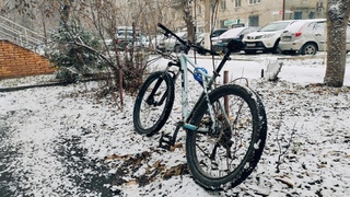 Первый снег / Фото: из архива amic.ru