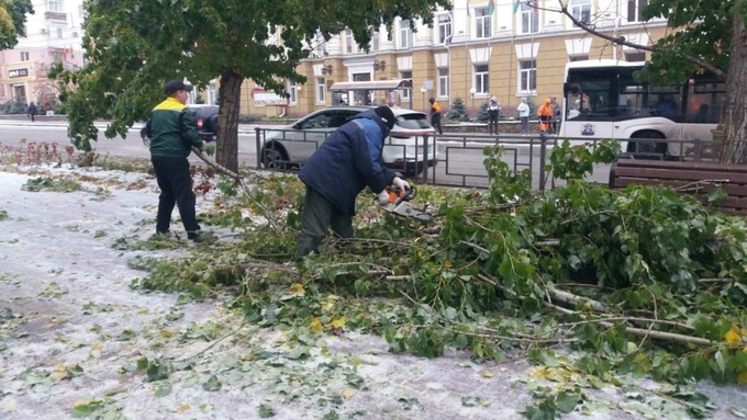 Фото: пресс-центр  мэрии Барнаула