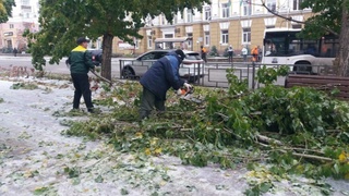 Фото: пресс-центр  мэрии Барнаула