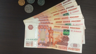 Рубли / Фото: pxhere.com/ru/photo/827332