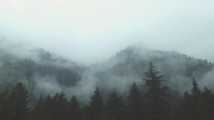 Туман / Фото: https://pxhere.com/