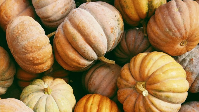 Тыква / Фото: unsplash.com/ Kerstin Wrba