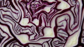 Капуста / Фото: pxhere.com/ru/photo/1240730