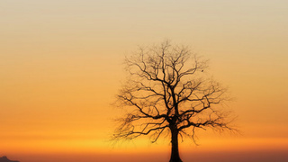 Закат осенью / Фото: unsplash.com