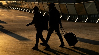 Фото: Mitchell Luo / unsplash.com