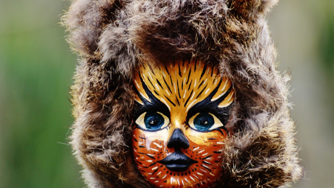 Костюм животного / Фото: pxhere.com/ru/photo/1051860