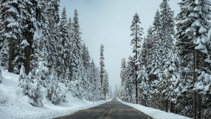 Заснеженная дорога / Фото: pxhere.com/ru/photo/113163