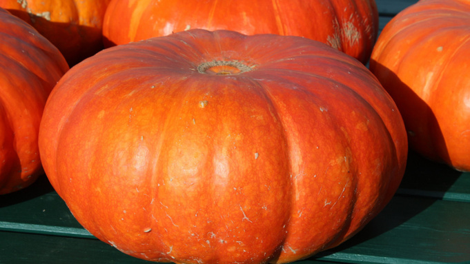 Тыква / Фото: pxhere.com/ru/photo/1335461