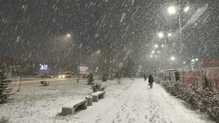 Снег в Барнауле / Фото: amic.ru / Екатерина Смолихина