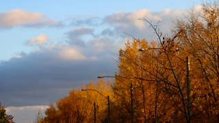 Фото: 
Natali Bredikhina / unsplash.com