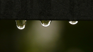 Дождь / Фото: pxhere.com/ru/photo/1155008