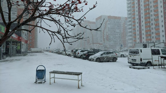 Снег в ноябре / Фото: Екатерина Смолихина / amic.ru