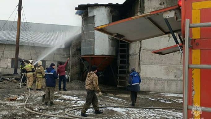 Пожар в поселке Луговое / Фото: МЧС Алтайского края