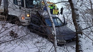 Фото: ГУ МВД по Алтайскому краю     