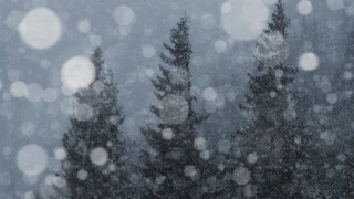 Метель / Фото: unsplash.com/s/photos/snowwind