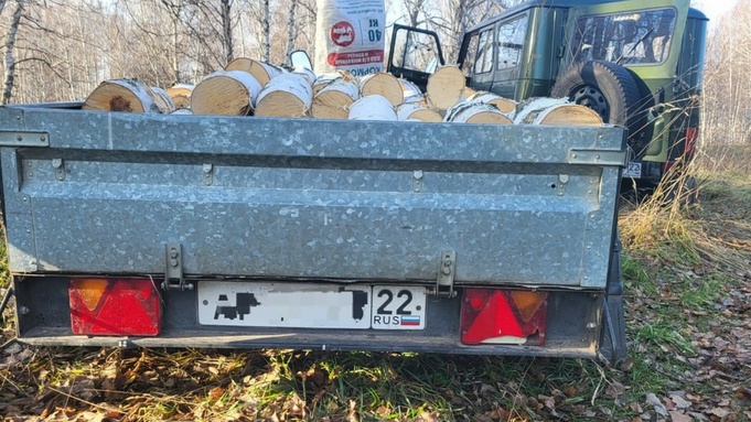 Незаконная вырубка леса / Фото: Минприроды Алтайского края