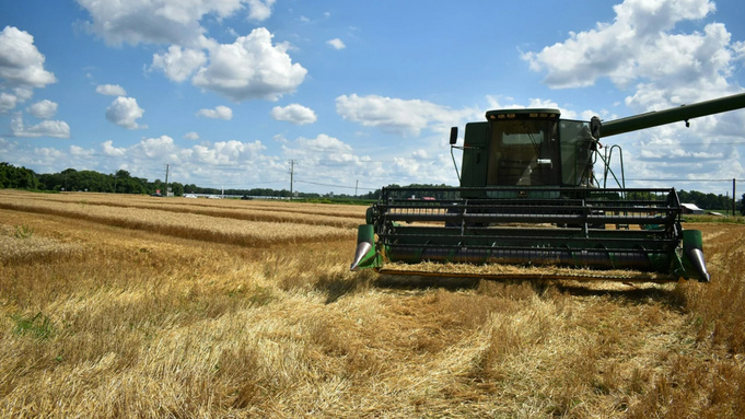 Уборочная кампания / Фото: Clare Tallamy / unsplash.com