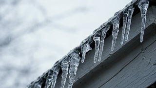 Фото: Izzy Park / unsplash.com    