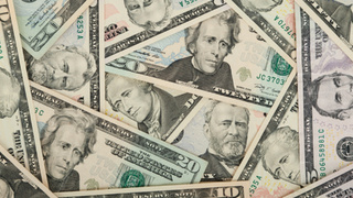 Доллары / Фото: pxhere.com/ru/photo/1354491