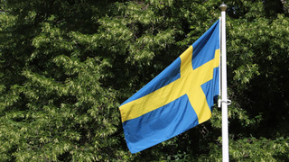 Шведский флаг / Фото: unsplash.com / Christer Lässman