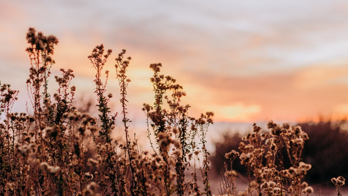 Закат / Фото: unspalsh.com / Shandi Nicole