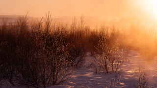 Зимнее солнце / Фото: pxhere.com/ru/photo/1071718