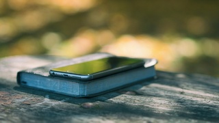 Фото: Aaron Burden / unsplash.com