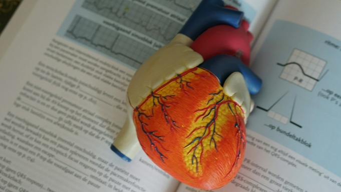 Фото: Robina Weermeijer / unsplash.com