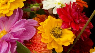 Фото: Josephina Kolpachnikof / unsplash.com