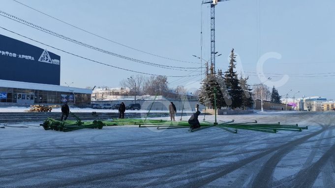 В Барнауле собирают елку на площади Сахарова / Фото: amic.ru / Константин Причиненко
