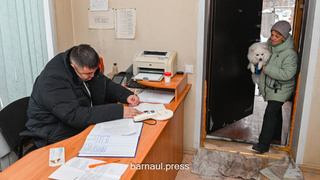 Регистрация собак / Фото: администрация Барнаула