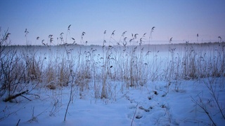 Зимний вечер / Фото: K8 / unsplash.com