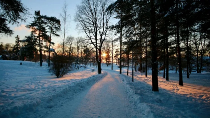 Фото: Jorge Fernández Salas / unsplash.com