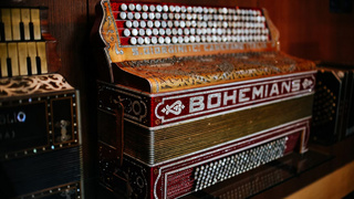 Аккордеон / Фото: unsplash.com   